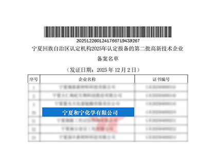 和宁公司获高新技术企业称号.jpg