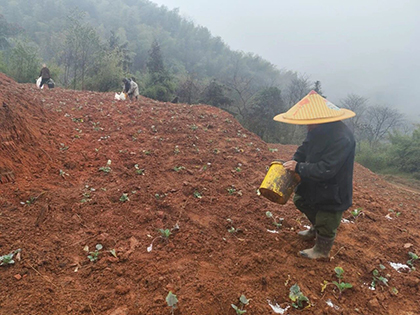 6686体育股份公司春肥送暖助春耕