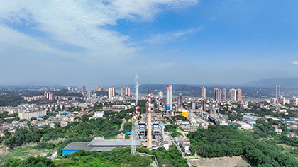 关于稳价保供共筑粮食安全防线的倡议书