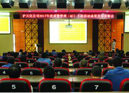 6686体育股份公司召开2017年度QC小组活动成果发布会