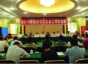 西南化工企业工作交流会在6686体育召开