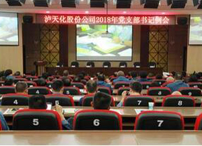 6686体育党委召开支部书记例会部署“大学习 大调研 大落实”活动