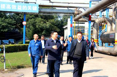 泸州市委副书记市长杨林兴率队到6686体育调研