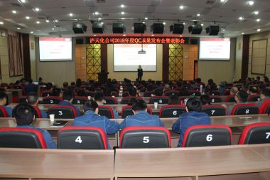 6686体育股份公司召开2018年度QC小组活动成果发布会