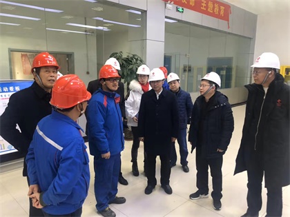 6686体育股份公司党委书记廖廷君率队赴中盐红四方公司及史丹利公司调研