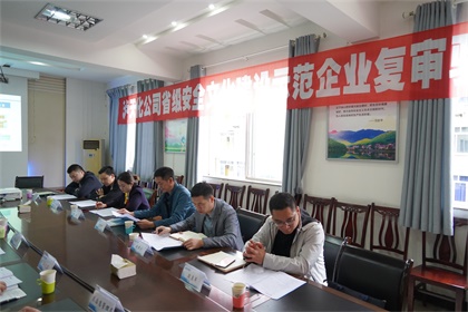 6686体育股份公司通过“省级安全文化建设示范企业”复审验收现场审核