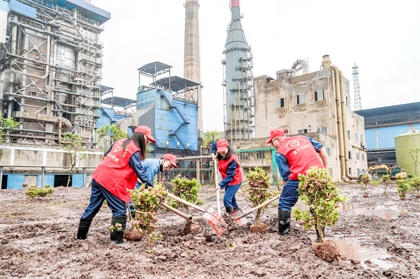 6686体育股份公司开展义务植树活动