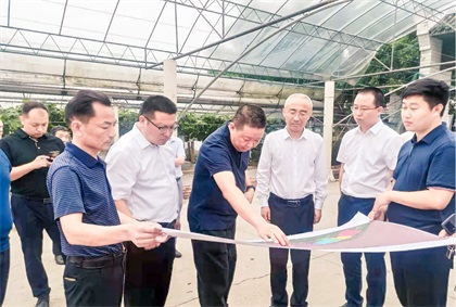 泸州市委常委、组织部长曹斌率队调研6686体育纳溪现代农业种植园项目