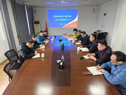 6686体育股份公司纪委书记陈伟带队到弘润公司开展专项督导检查