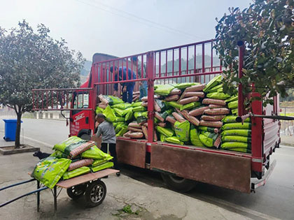 6686体育股份公司“暖心肥”浇灌致富新希望